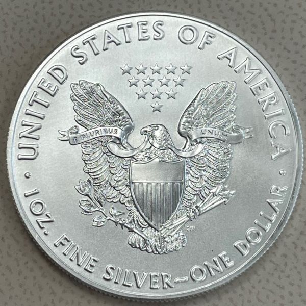 American Eagle USA Silber Tube (20 x 1 oz) differenzbest.