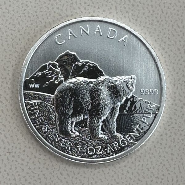 Wildlife Kanada Grizzly Silber Tube (25 x 1 oz) differenzbest. 